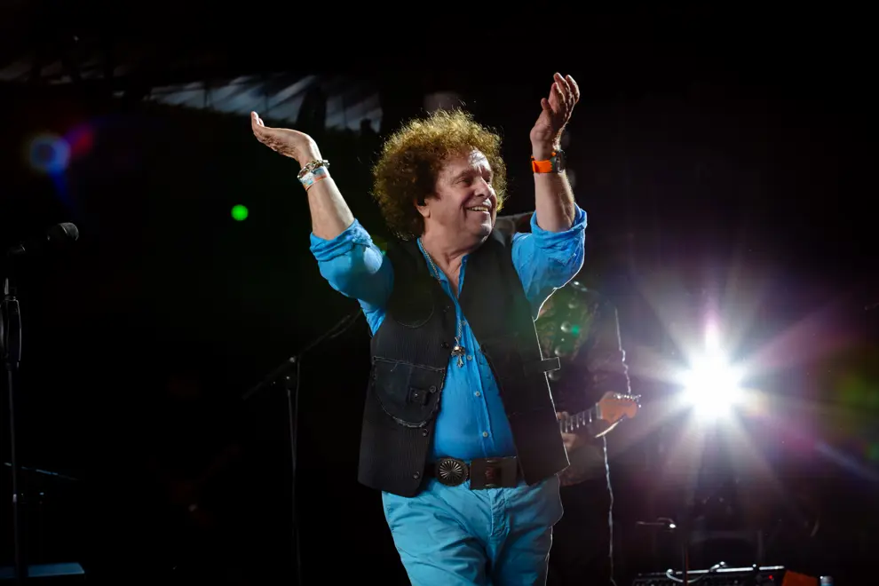 Leo Sayer @ Meredith Music Festival