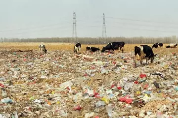 Beijing Besieged By Waste