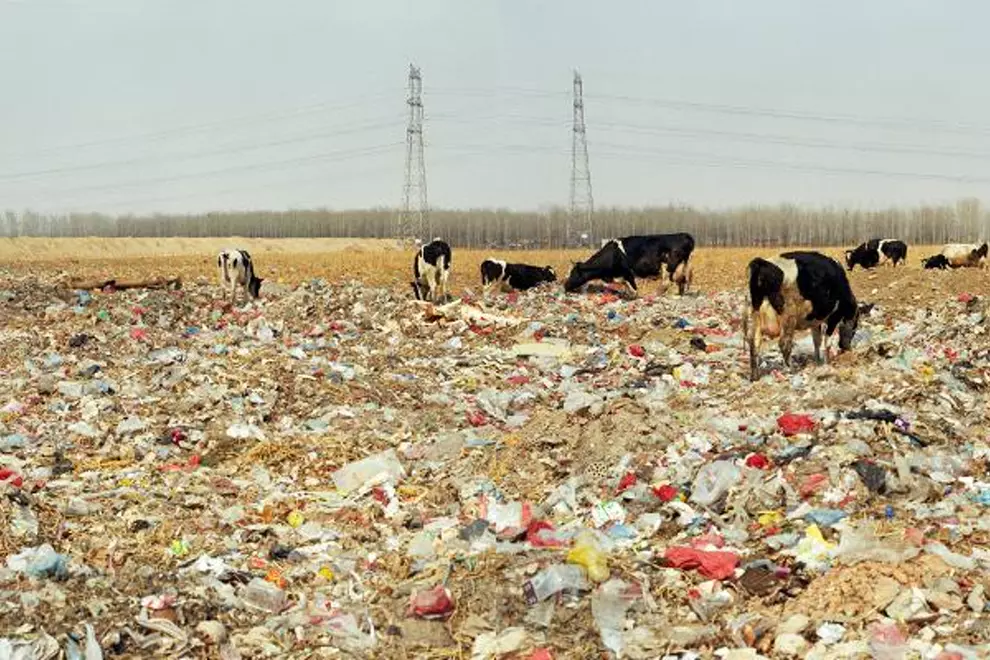 Beijing Besieged By Waste