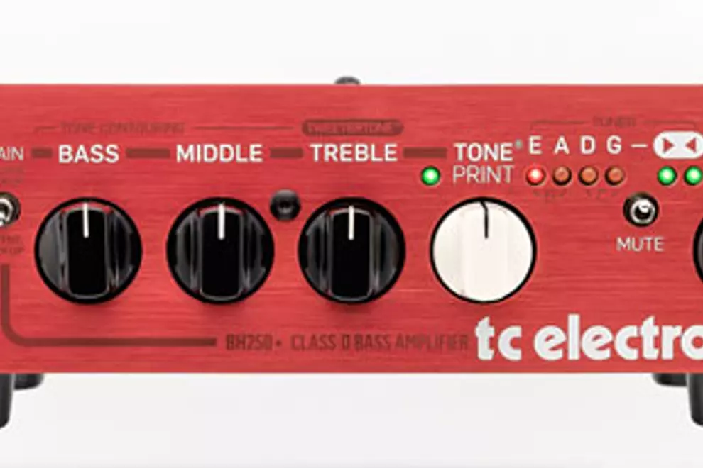 TC Electronic BH250 Bass Head