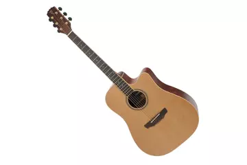 Timberidge Guitar TRC-4F Dreadnought Cutaway