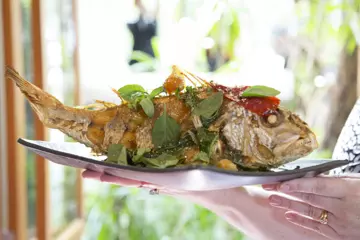 Sunshine Coast Real Food Festival