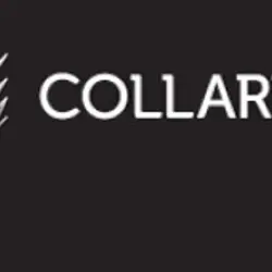 More Various Artists