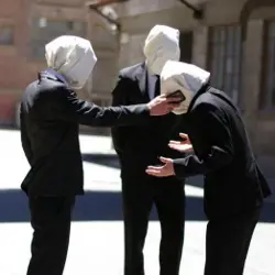 More Sincerely Grizzly