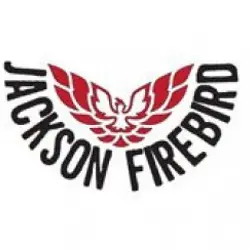 More Jackson Firebird