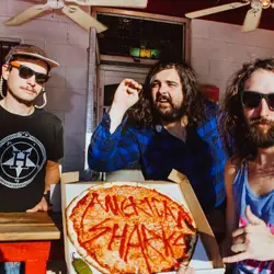 More American Sharks