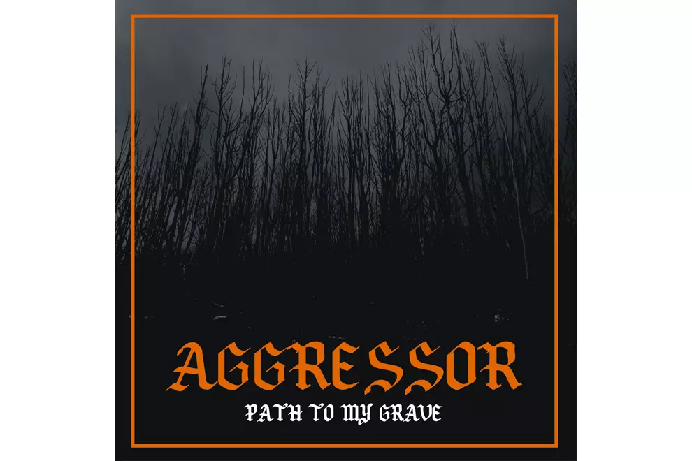 Aggressor