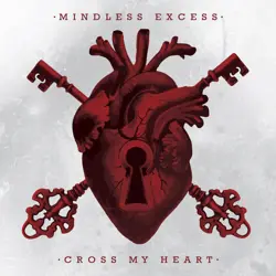 More Mindless Excess