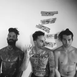 More The Fever 333