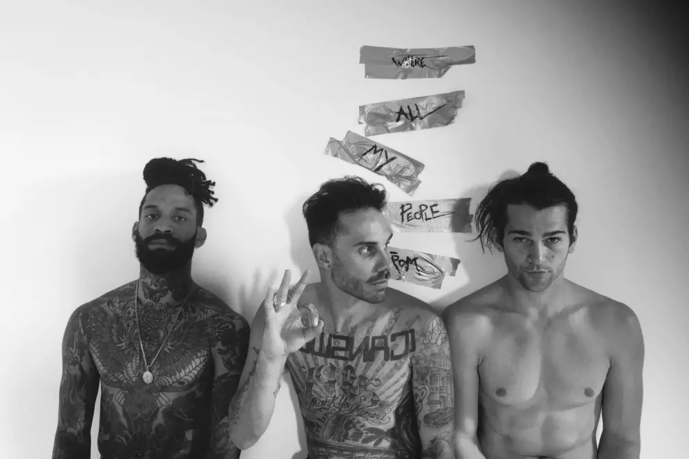The Fever 333