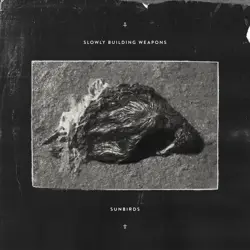 More Slowly Building Weapons