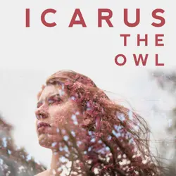 More Icarus The Owl