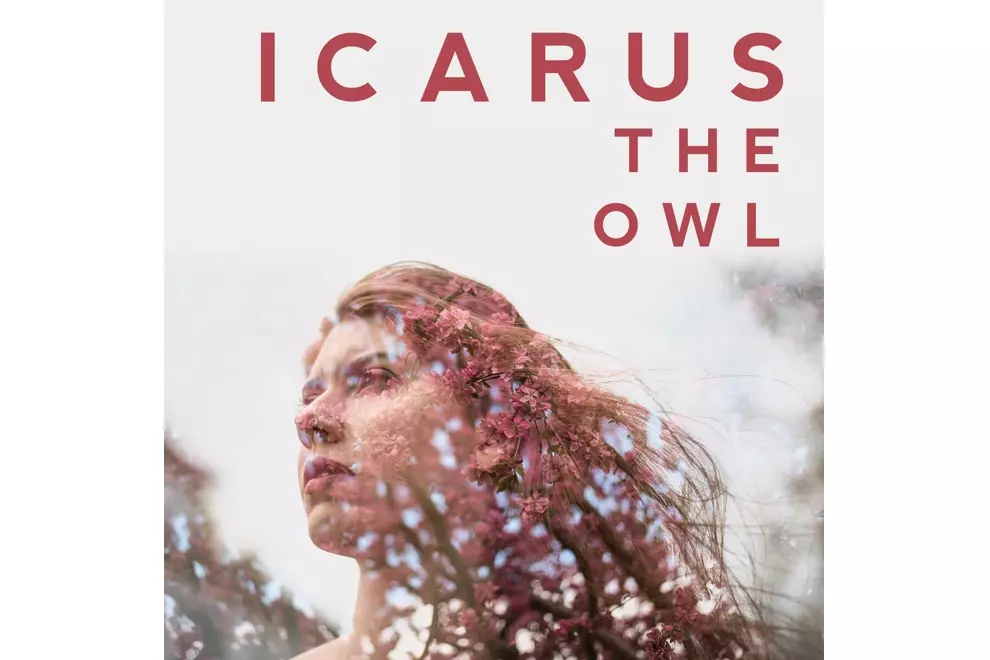 Icarus The Owl