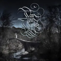 More Wear Your Wounds