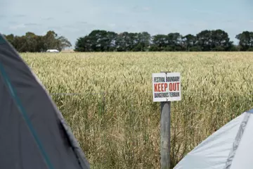 (Pic: Meredith Music Festival)