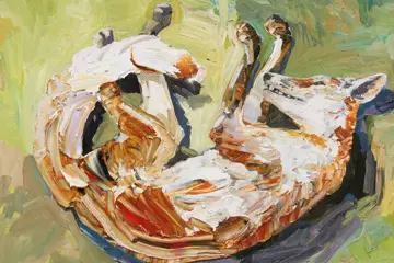 'Dead Fox' by Guy Maestri