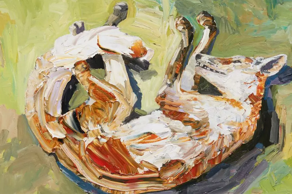 'Dead Fox' by Guy Maestri