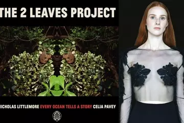Image via Twitter, Vera Blue