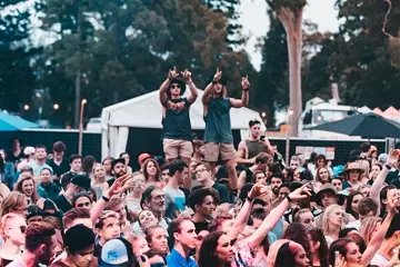 The Plot 2016. Photo by Jess Gleeson.