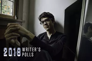 Car Seat Headrest