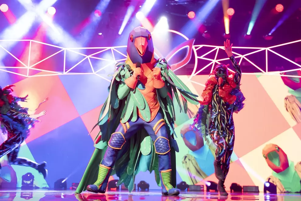 'The Masked Singer'