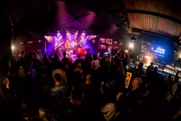 What's Golden. All photos by Lachlan Douglas. 