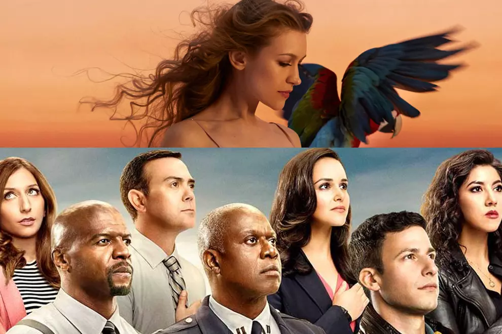 Good detective work if you managed to catch this sneaky cameo in the Brooklyn Nine Nine finale!