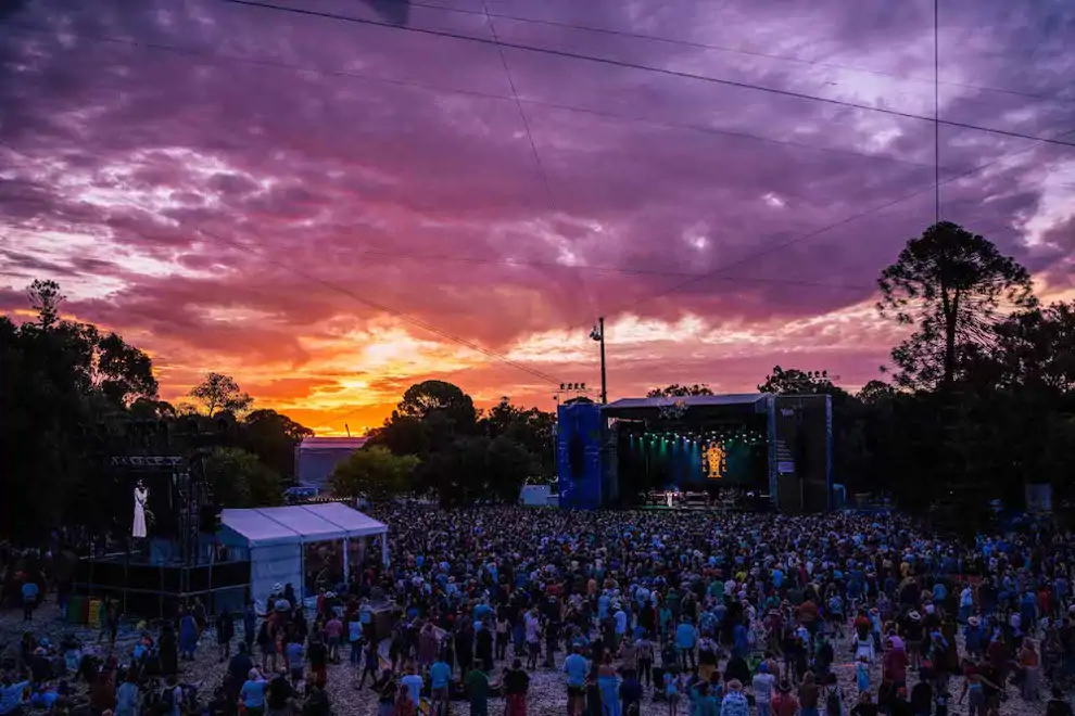 Image: Wade Whitington