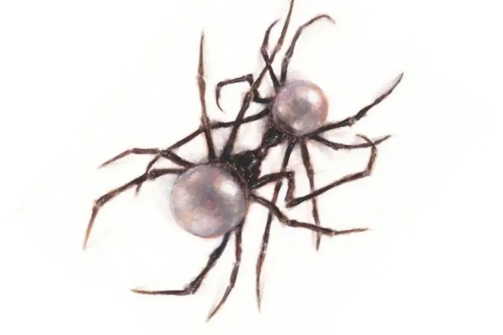 'Scarlet' album cover