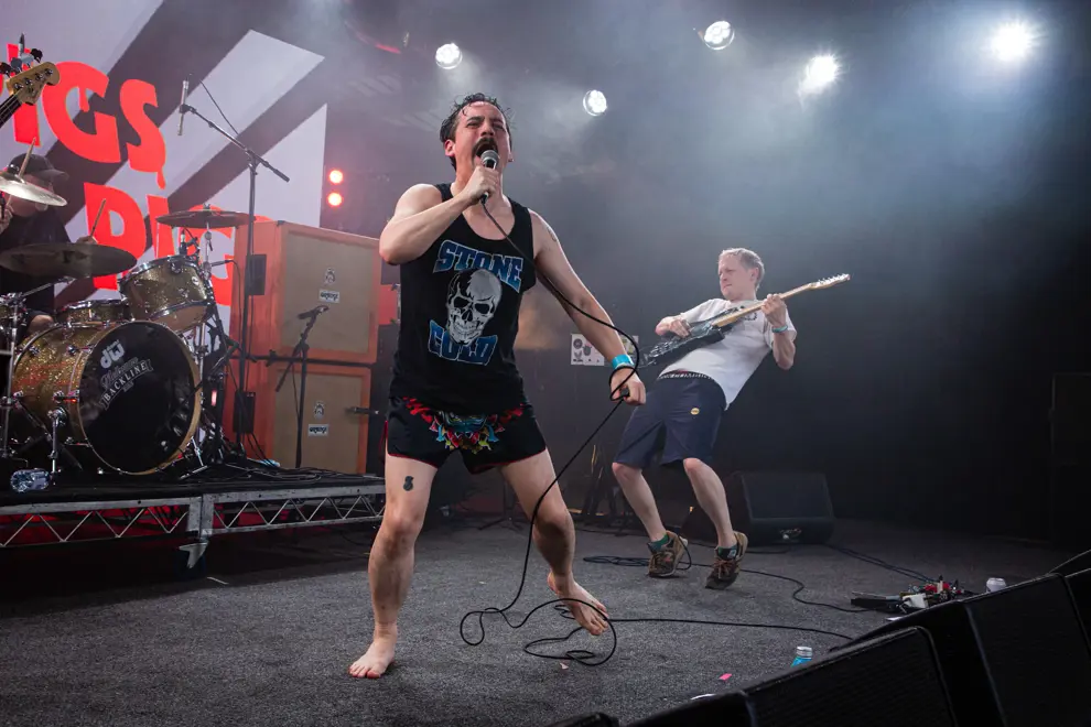 Pigs Pigs Pigs Pigs Pigs Pigs Pigs