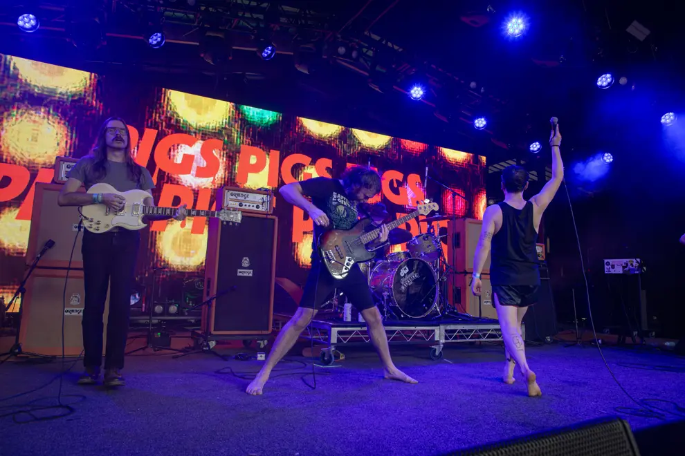 Pigs Pigs Pigs Pigs Pigs Pigs Pigs