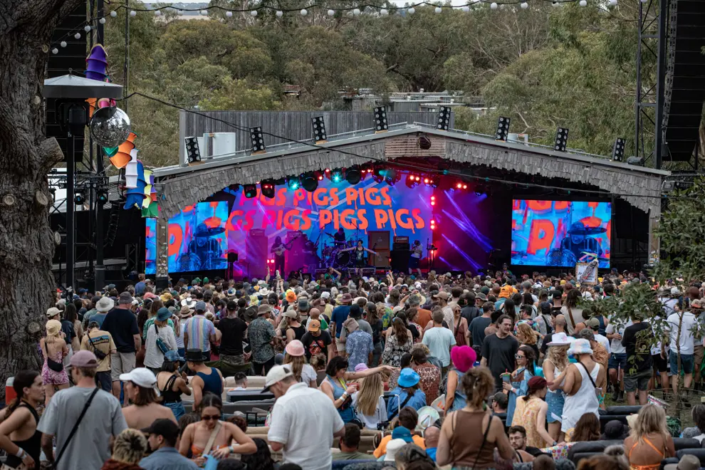 Pigs Pigs Pigs Pigs Pigs Pigs Pigs