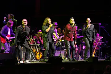 All You Need Is Love