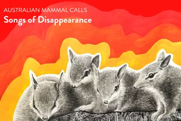 Australian Mammal Calls: Songs of Disappearance