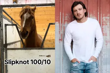 Pretty the horse, Morgan Wallen