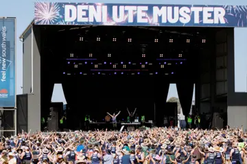 Deni Ute Muster