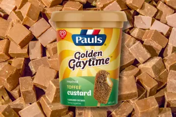 Pauls Golden Gaytime Inspired Toffee Custard