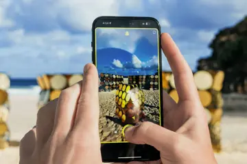 Sculpture by the Sea