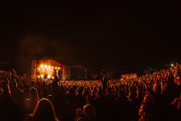 Big Pineapple Festival