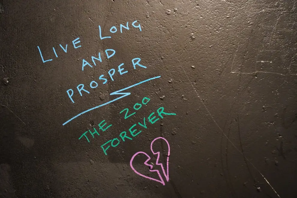Some of The Zoo's infamous bathroom grafitti