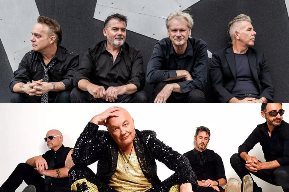 The Sharp & Chocolate Starfish.