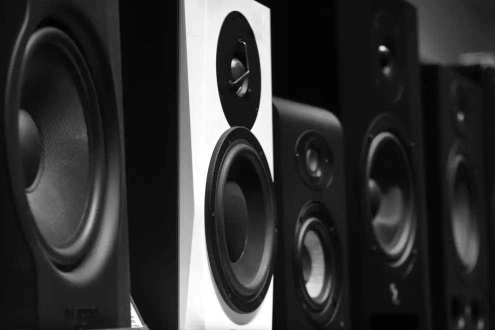 Black and white speakers