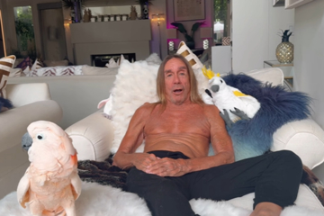 Iggy Pop And His Cockatoo Biggy Pop Share Shoutout To Hoodoo Gurus