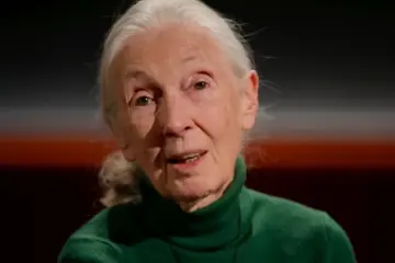 Jane Goodall