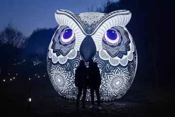 City Limits - Nocturnal at Illuminate Adelaide