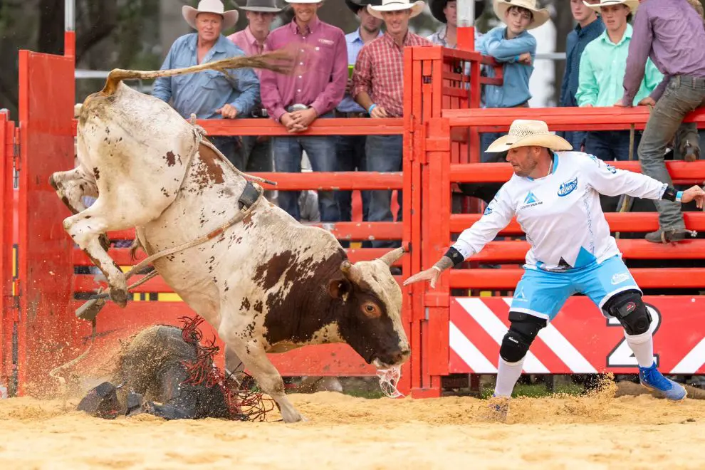 Rodeo