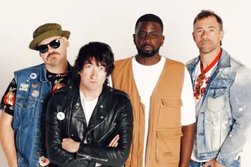 Plain White T's
