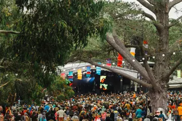 Meredith Music Festival