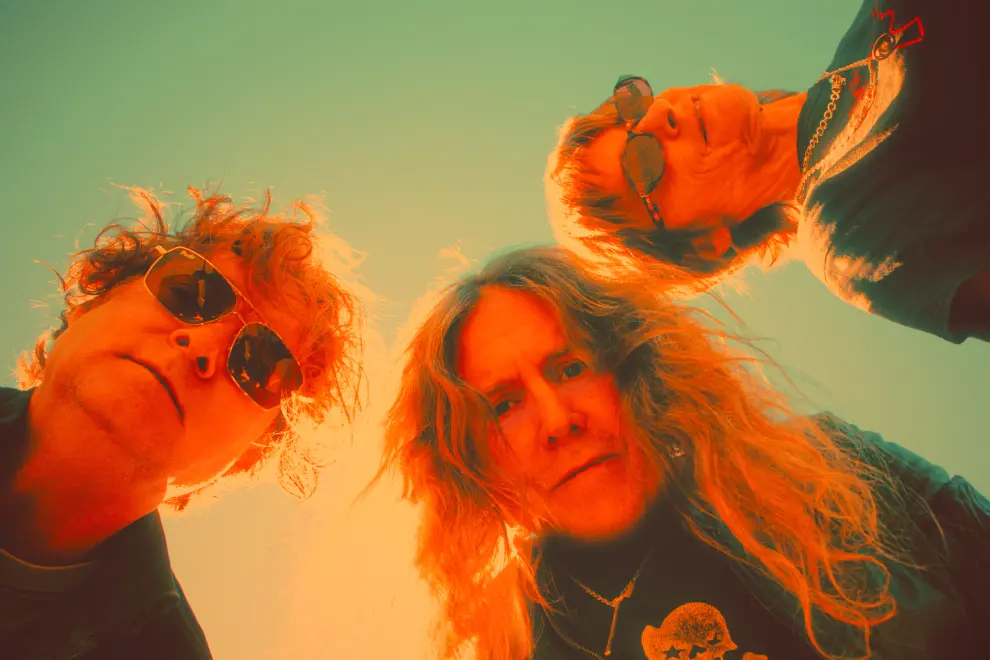 Spiderbait