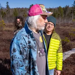 More Dinosaur Jr